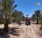 مزرعة فدك في كربلاء :قصة الصحراء التي تحولت الى بستان ذات جدوى اقتصادية
