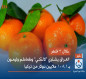 خلال 3 اشهر.. العراق يشتري "لالنگي" وطماطم وليمون بـ108.1 ملايين دولار من تركيا