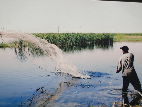 تقنيات تكثير الأسماك وتفعيل قوانين الصيد الجائر في ندوة بكربلاء
