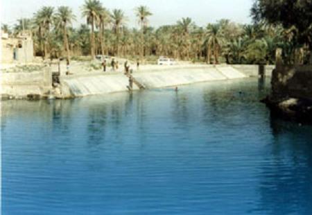 محافظ كربلاء يشكل لجنة فنية لإعادة تأهيل عيون عين التمر