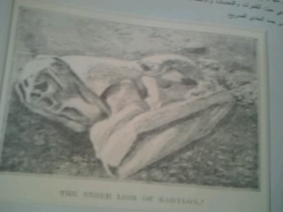 صورة نادرة جدا للحظة العثور على اسد بابل