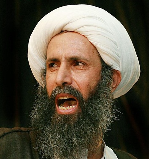 منظمة اقليمية تعتبر اعدام السعودية للنمر حكم سياسى لتصفية الشيعة بالخليج