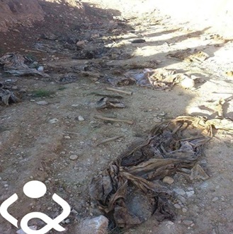 بالصورة:اكتشاف مقبرة جماعية جديدة للايزيدين قي سنجار - مجمع خانصور