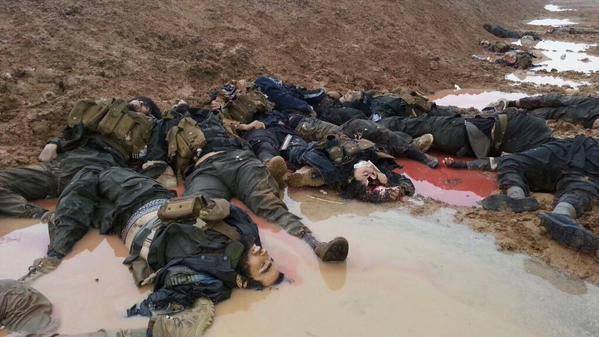 مصادر من صلاح الدين :انهيار الخطوط الامامية لداعش يدفعهم للجوء الى البساتين (مصور)