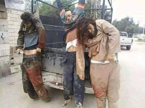 عاجل :اقتحام حي القادسية في تكريت بعد تحرير اكاديمية شرطة صلاح الدين