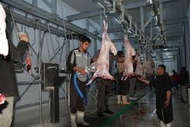 قائممقام كربلاء:المجزرة الحديثة في كربلاء غير مراقبة من الحكومة وبعيدة عن اشراف الطب البيطري