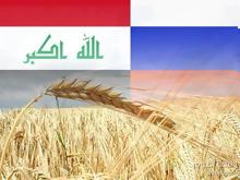 العراق يشتري 250 ألف طن قمح من روسيا