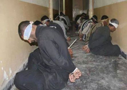 عاجل/ مقاتلو مجلس إنقاذ الفلوجة يأسرون 120 مسلحا من داعش بينهم 29 من عرب الجنسية و12 أجنبيا