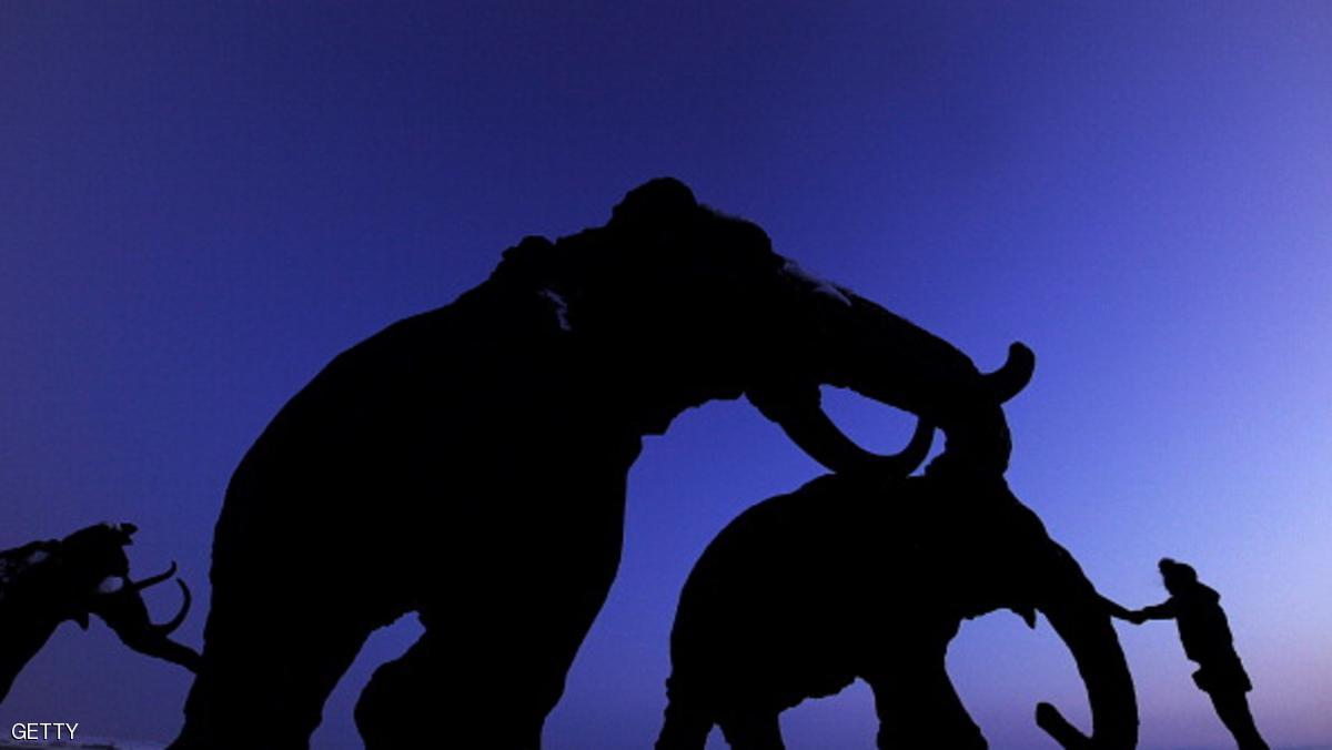 مياه الشرب أدت الى انقراض آخر مجموعة من حيوان الماموث