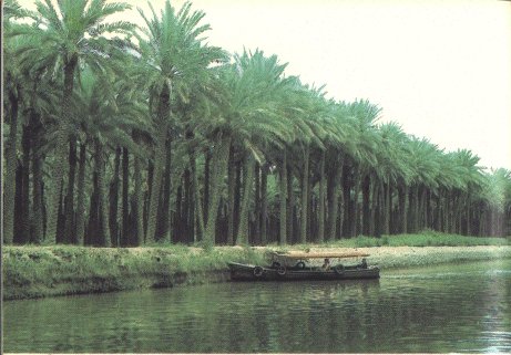 الموارد المائية تؤكد خلو شط العرب من الملوحة