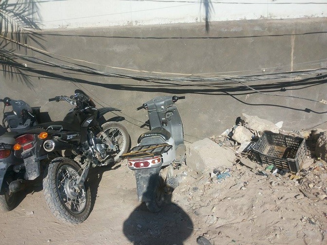 كربلاء :مقتل نعجتين بسبب اسلاك كهربائية ومخاوف من ان تكون اطفال المنطقة هم الضحايا