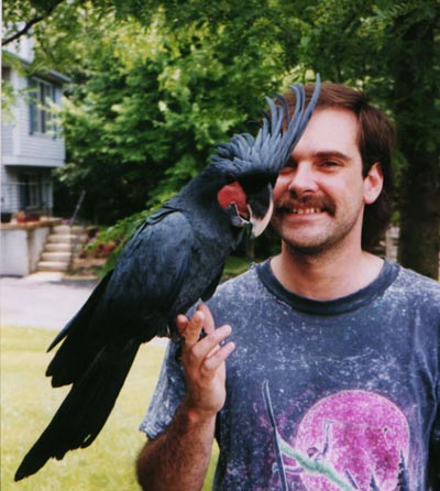 مقتل رجل واصابة اخر في عملية لاستعادة ببغاء في استراليا