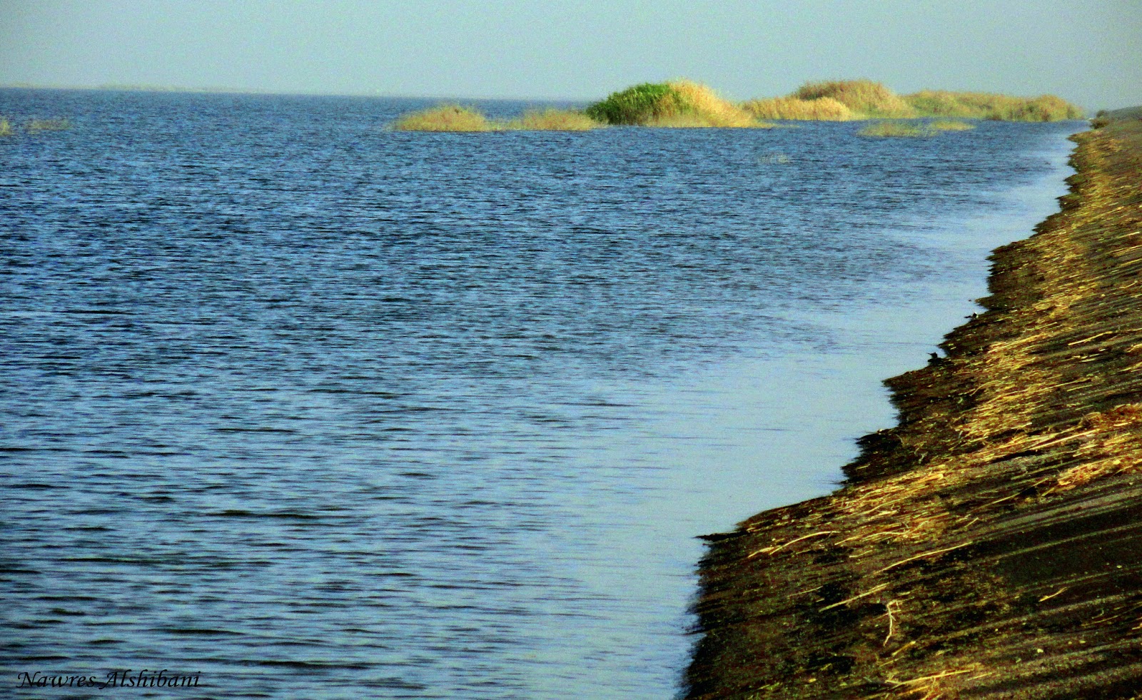 واسط: عرض هور الدلمج للاستثمار