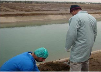 البيئة النيابية: النيكل الثقيل الموجودة في بعض اكتاف نهر الحسينية في كربلاء لا تبعث على القلق