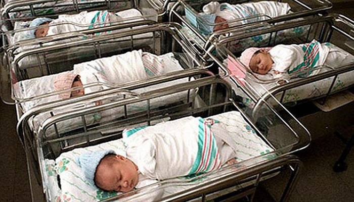 ولادة 85 طفل وطفلة في كربلاء في يوم ولادة الإمام الحسين