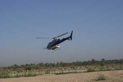 كربلاء :الانتهاء من مكافحة 3000 دونم من بساتين النخيل ضد حشرة الدوباس