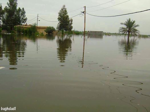 مجلس المنصورية يطلق استغاثة عاجلة لإيقاف "حرب المياه" ويحذر من غرق الناحية