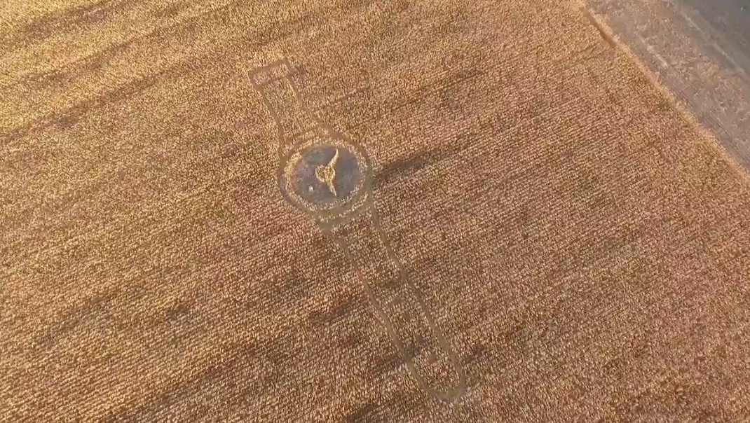 بالفيديو: إشارات غامضة من الفضاء على حقول الذرة في روسيا