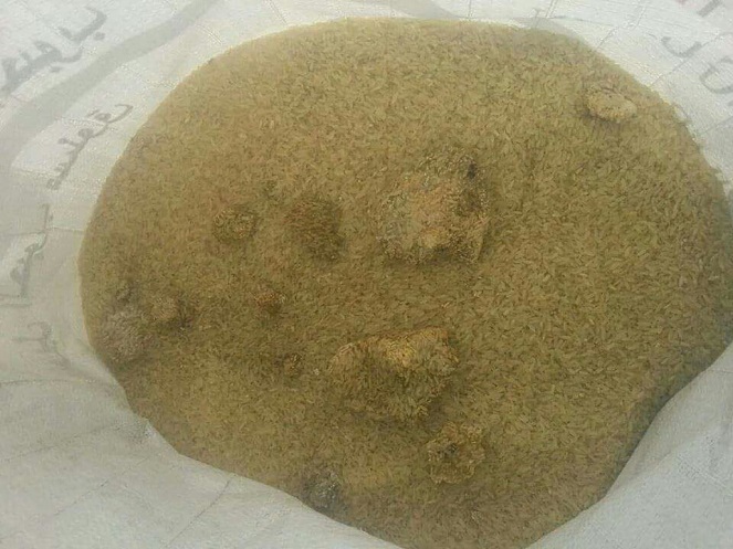 عاجل:وكالة نون تكشف عن توزيع  1000 طن من الرز التالف ضمن  مفردات البطاقة التموينية في مناطق متعددة بكربلاء