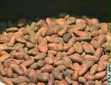 دراسة: القدماء استخدموا الشوكولاتة أبكر مما يعتقد