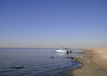 كربلاء :قضاء عين التمر تطالب الموارد المائية بفتح المياه على بحيرة الرزازة