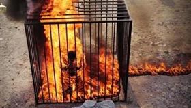 المخرج عمرو عرفة: أخراج فيديو اعدام الطيار الاردني من قبل تنظيم داعش تم تنفيذه بشكل محترف