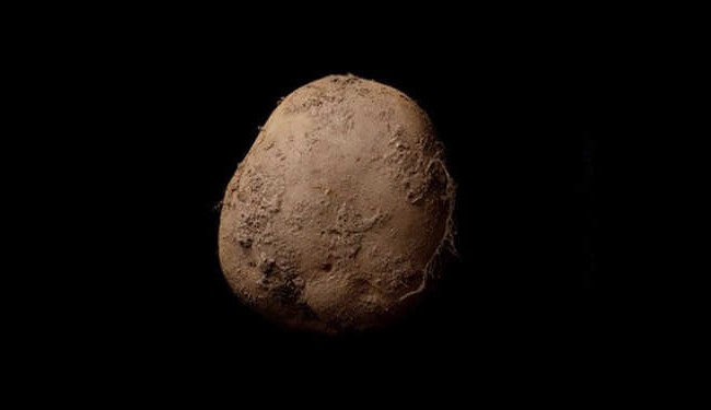 صورة لحبة بطاطا تباع بمليون يورو