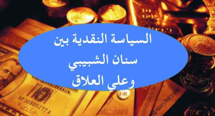 علاوي يقارن بين السياسة النقدية للدكتور سنان الشبيبي والسيد علي العلاق