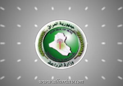 وزارة الزراعة : (18,697,000) مجموع كميات الإصبعيات المنتجة في مفاقس (الصويرة والشرش والميمونة)