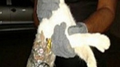 "هر" في قبضة السلطات الروسية لتهريبه الجوالات إلى المساجين