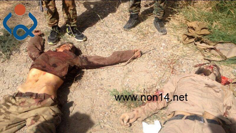 بالصور: لواء علي الاكبر يستدرج الدواعش ويقتل 8 انتحاريين