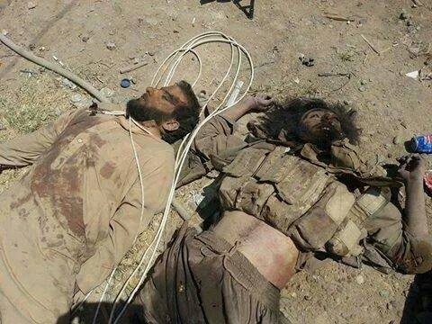 شاهد بالصور قتلى الدواعش بعد تحرير صلاح الدين