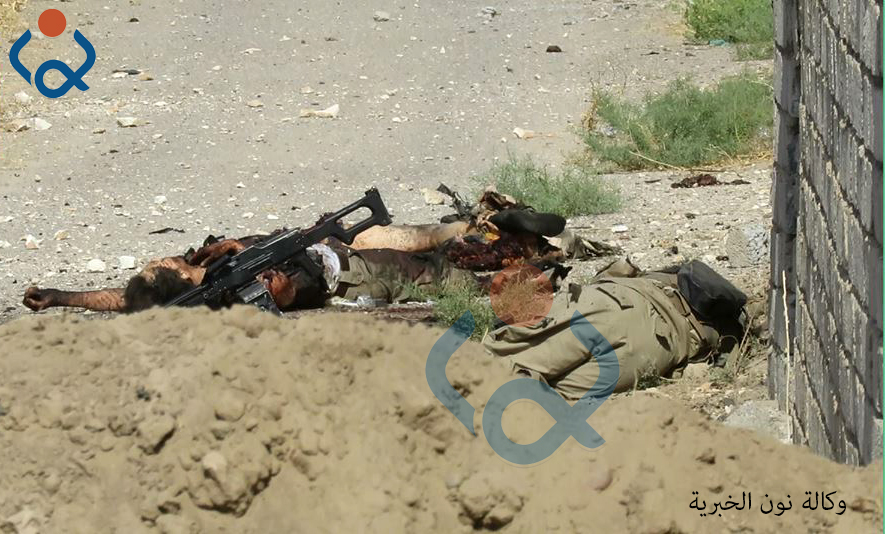 بالفيديو: جثث الدواعش تملأ أرض بيجي