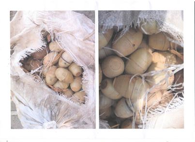 كربلاء :ضبط كدس متفجرات معدة لاستهداف الزائرين في احد البساتين شرق المدينة