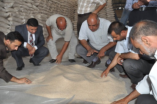 نائب محافظ ذي قار :فساد وزارة التجارة آخر وصول مفردات البطاقة التموينية كاملة