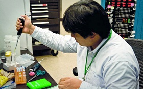 باحثون يابانيون يبتكرون خلايا قاتلة للسرطان عن طريق الحقن