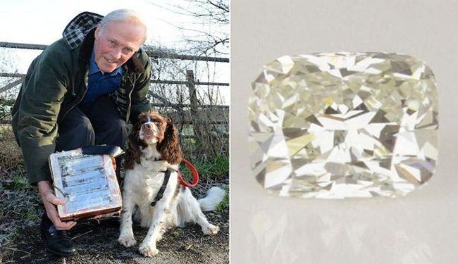 كلب يعثر على ماسة بقيمة 18 ألف دولار، من أين جاءت؟