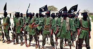 تشكيل جيش افريقى  موحد لقتال تنظيم القاعدة