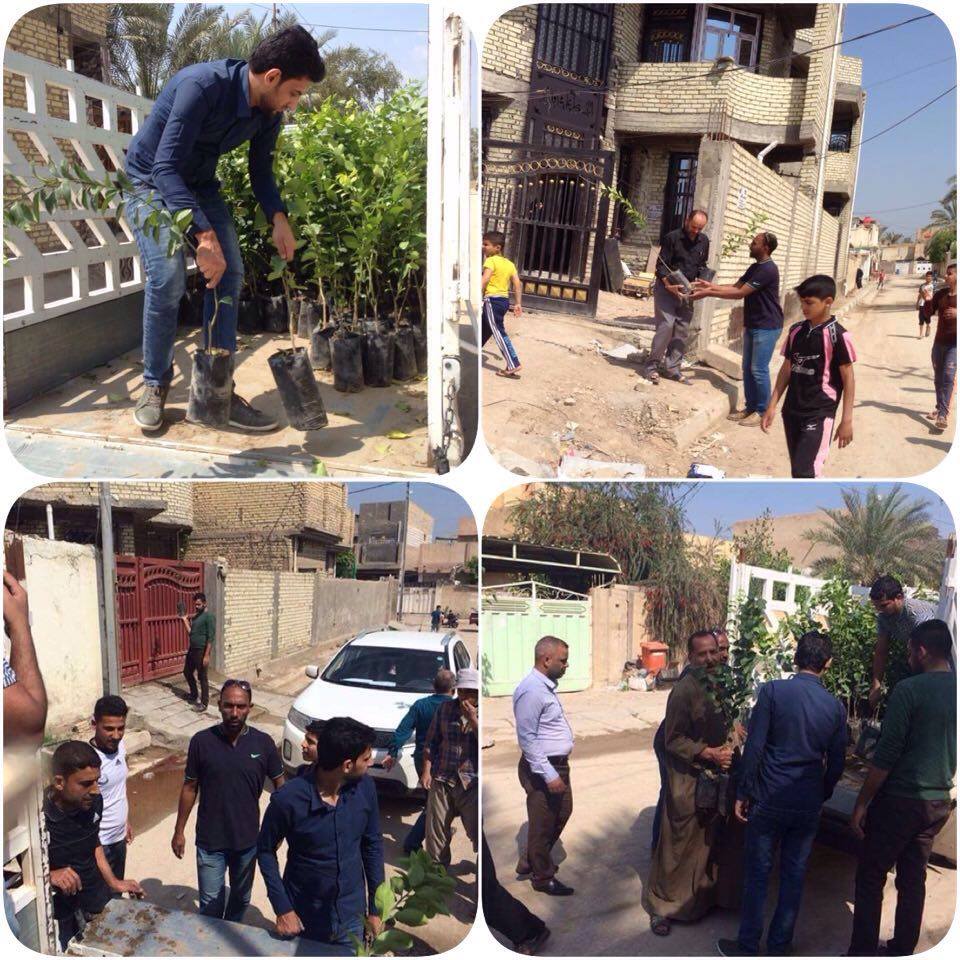 كربلاء:حركة البشائر الشبابية تبدأ بحملة تشجير في قضاء الهندية