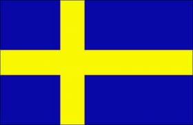 لاعب سويدي يمنح فريقه هدف التقدم ويموت