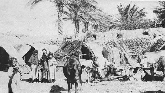 صورة لمدينة العمارة ابان الاحتلال الانكليزي عام 1917