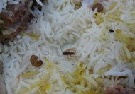 صرصور في دبي ثمنه 200 ألف درهم