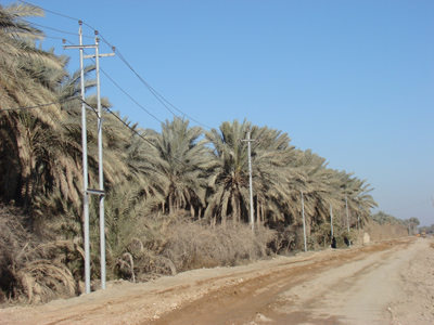 تنفيـــذ الشــــبكة الكهربائية لقرية الشـــريفات في كربلاء المقدسة