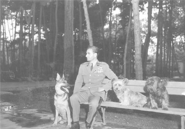 صورة نادرة لشاه ايران محمد رضا بهلوي مع كلابه الخاصة .