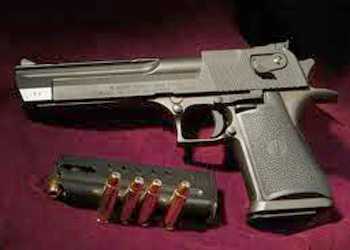 الحكومة تقرر بحيازة بندقية أو مسدس في كل دار