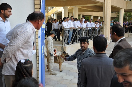 كلاب بولسية في حرم جامعة كربلاء وسط تذمر طلبتها (مصور)