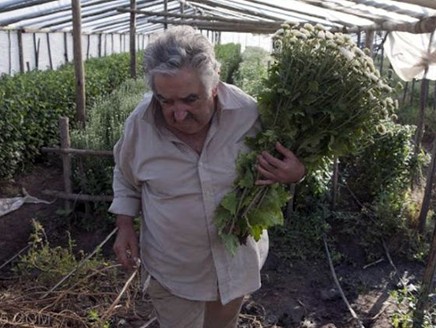 رئيس الأوروغواي يتقاضى 1250 دولاراً شهرياً ويتبرع بمعظم راتبه لأعمال خيرية +صور