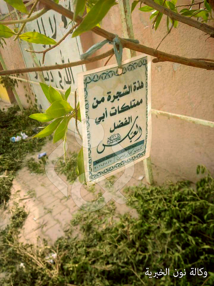 بالصور:جهات مجهولة تقلع وتعبث باشجار الشوارع وسط كربلاء