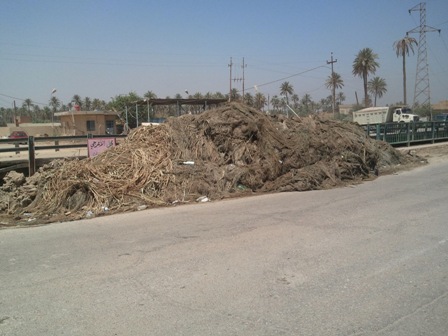 لقطات من الطريق السياحي  بين كربلاء وقضاء  الهندية !!!!!