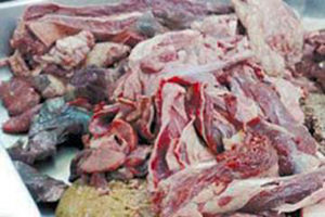 اللحم الهندي المعروض بالسوق العراقية ملوث